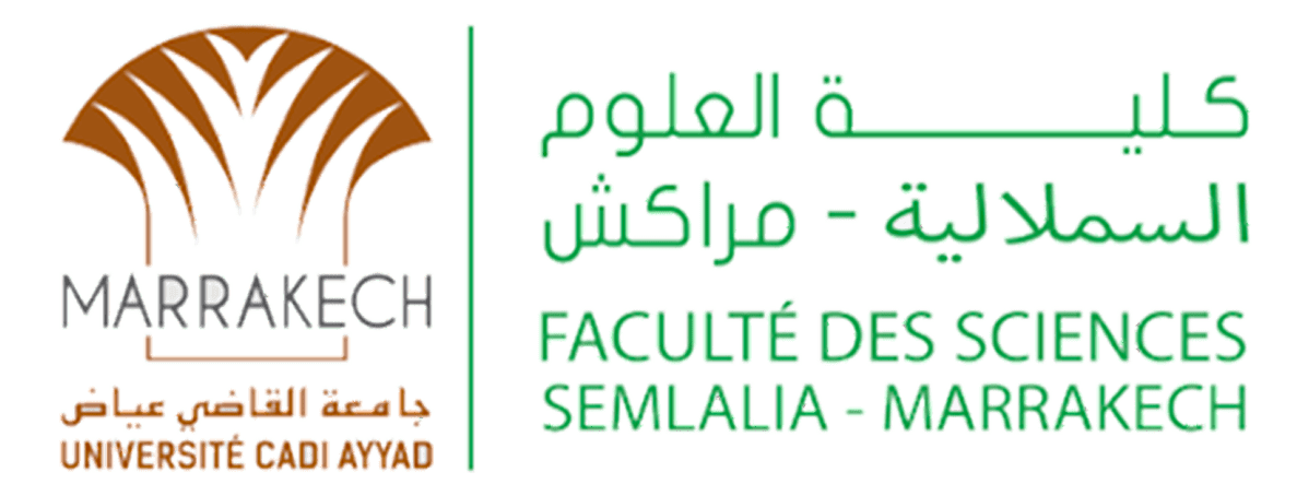 Youssef EL FOUTAYENI